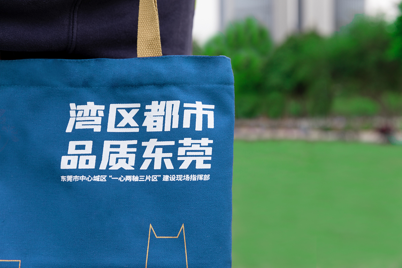 湾区都市 品质东莞