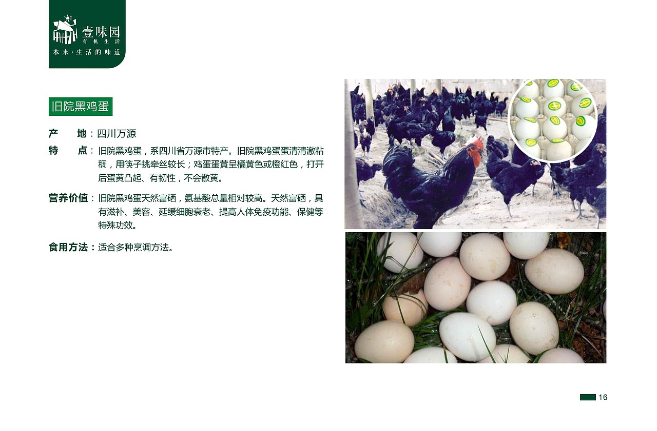 一本绿色食品的电子画册，不足之处欢迎指教。（图ZMjc0NjcyOTI=） - 书籍/画册 - 站酷设计师wangtong20原创素材 - 站酷ZCOOL