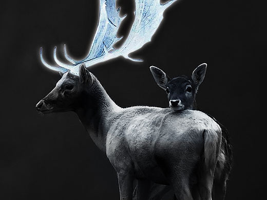 麋鹿蓝白荧光特效