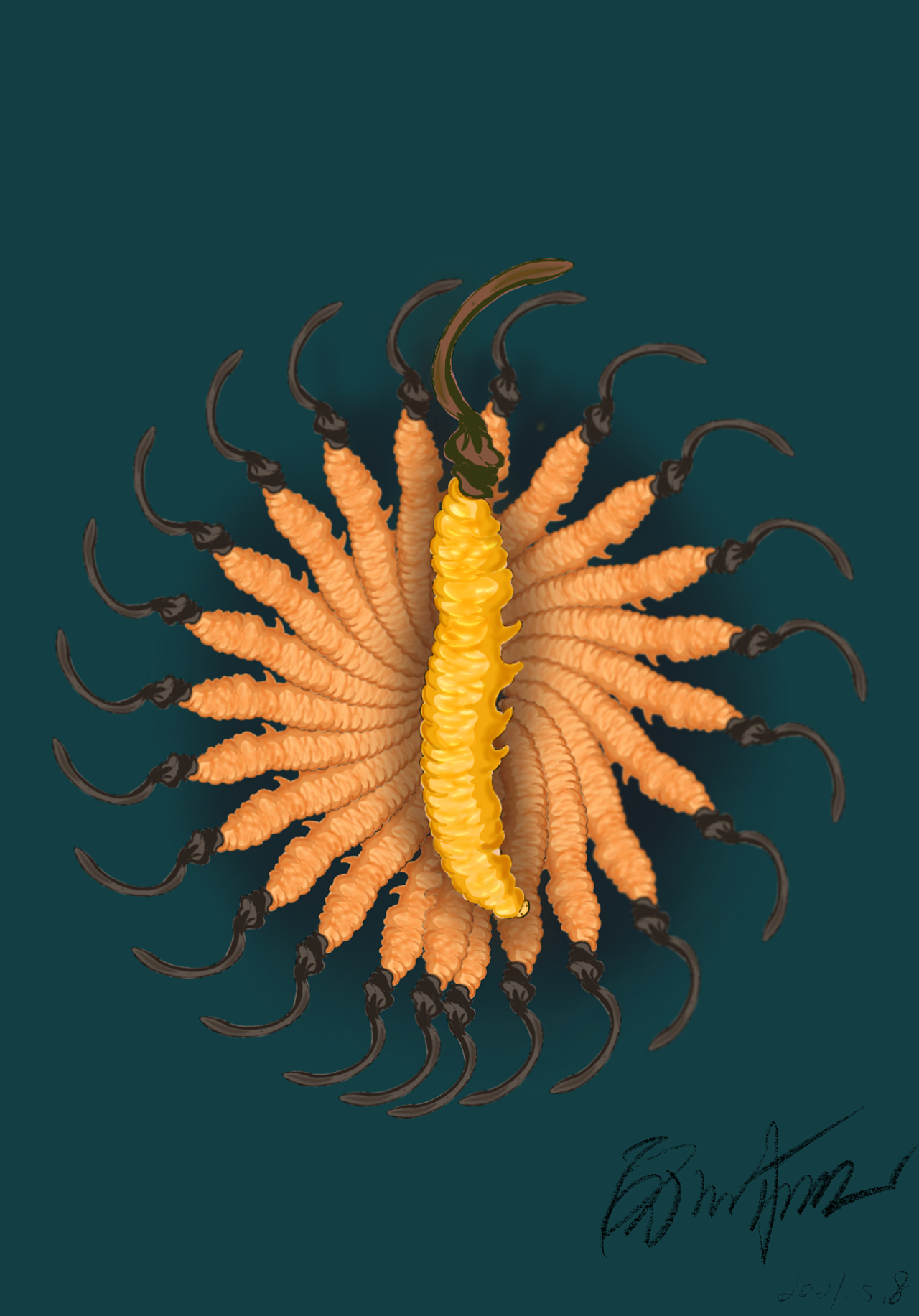 冬虫夏草|插画|创作习作|隆爷艺术 - 原创作品 - 站酷 (zcool)