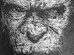 练习临摹（小猴子）