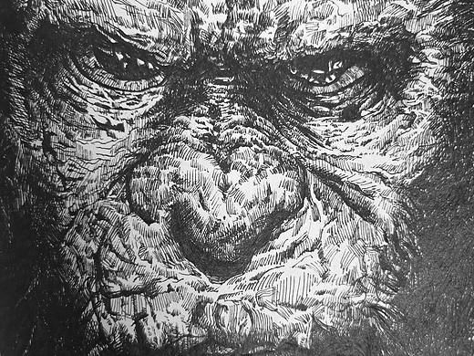 练习临摹(小猴子)