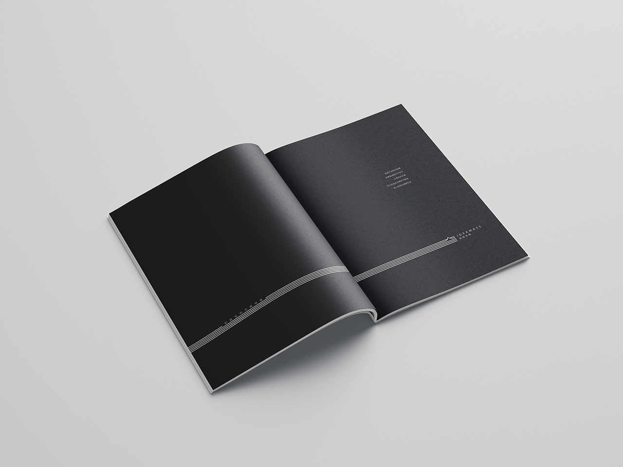 益立-IDEAMASS意得美嘉 POLINT产品画册