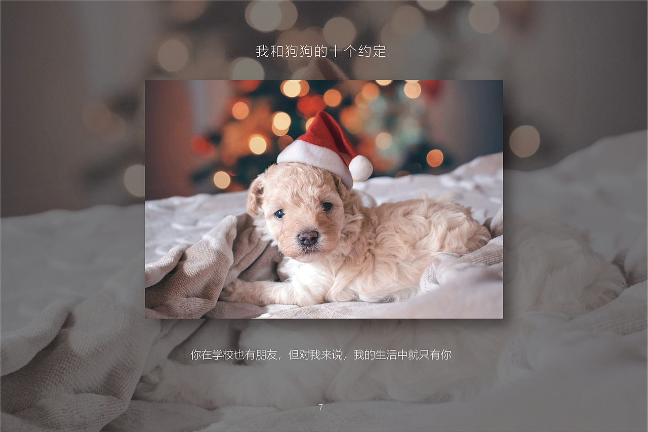 我和狗狗的十个约定InDesign