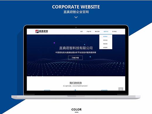 企业官网/网站设计