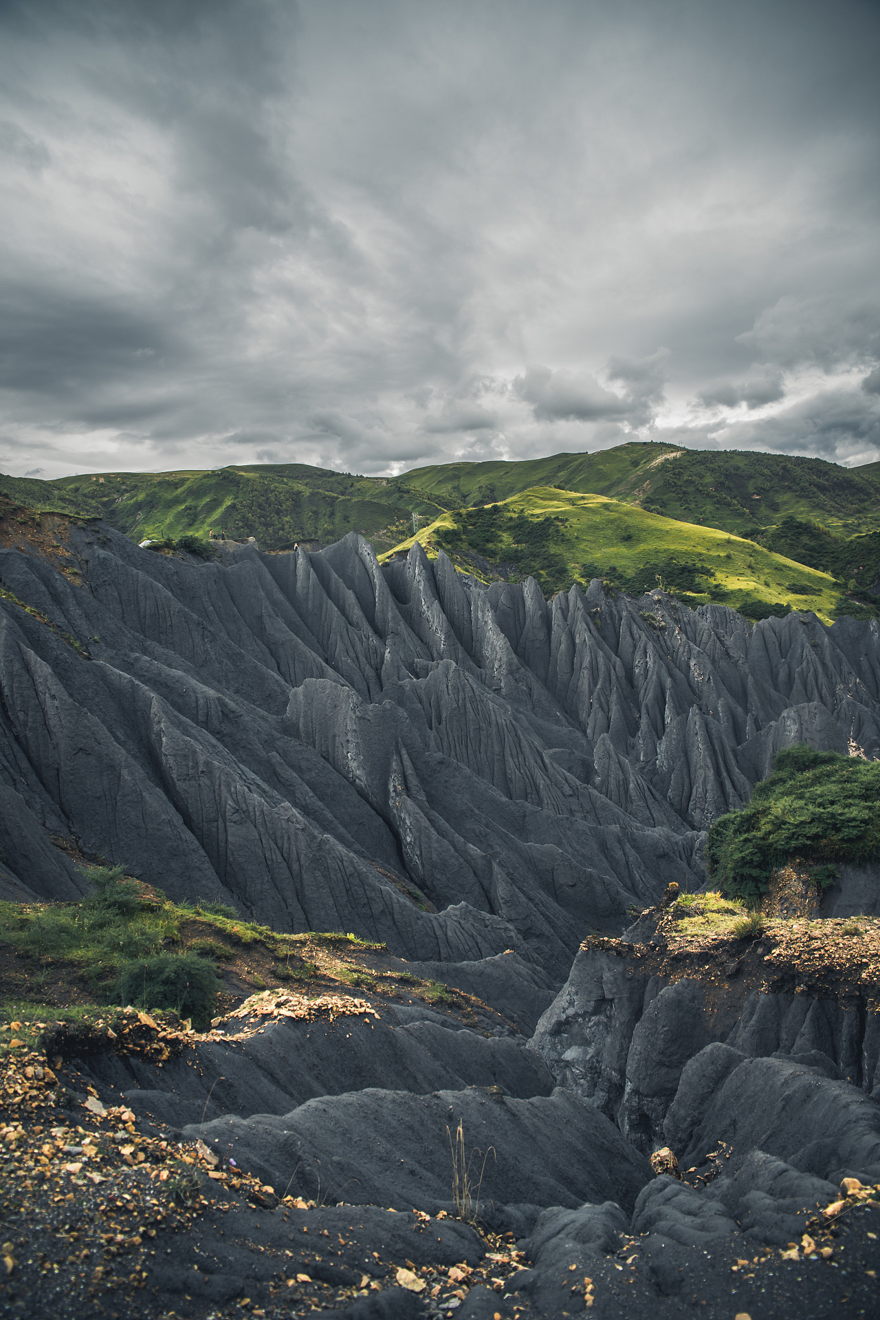 此次行程 重庆-乐山-雅安-康定-折多山-新都桥-香薰谷-塔公草原-墨石