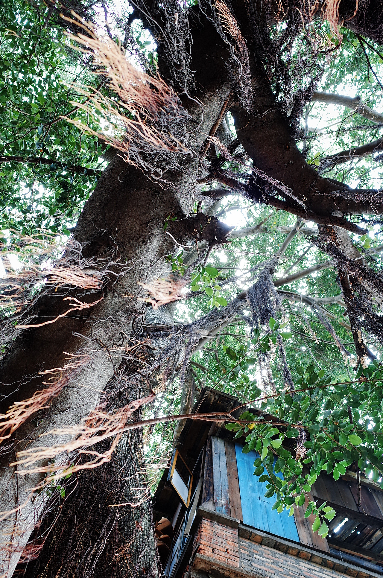 福州 | 民国古街