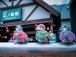 镰仓 | 另一个世界