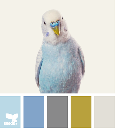 美丽的配色卡啊——02（图ZMTQwMzYyOTY0） - 图案 - 站酷设计师Bona_Dai原创素材 - 站酷ZCOOL