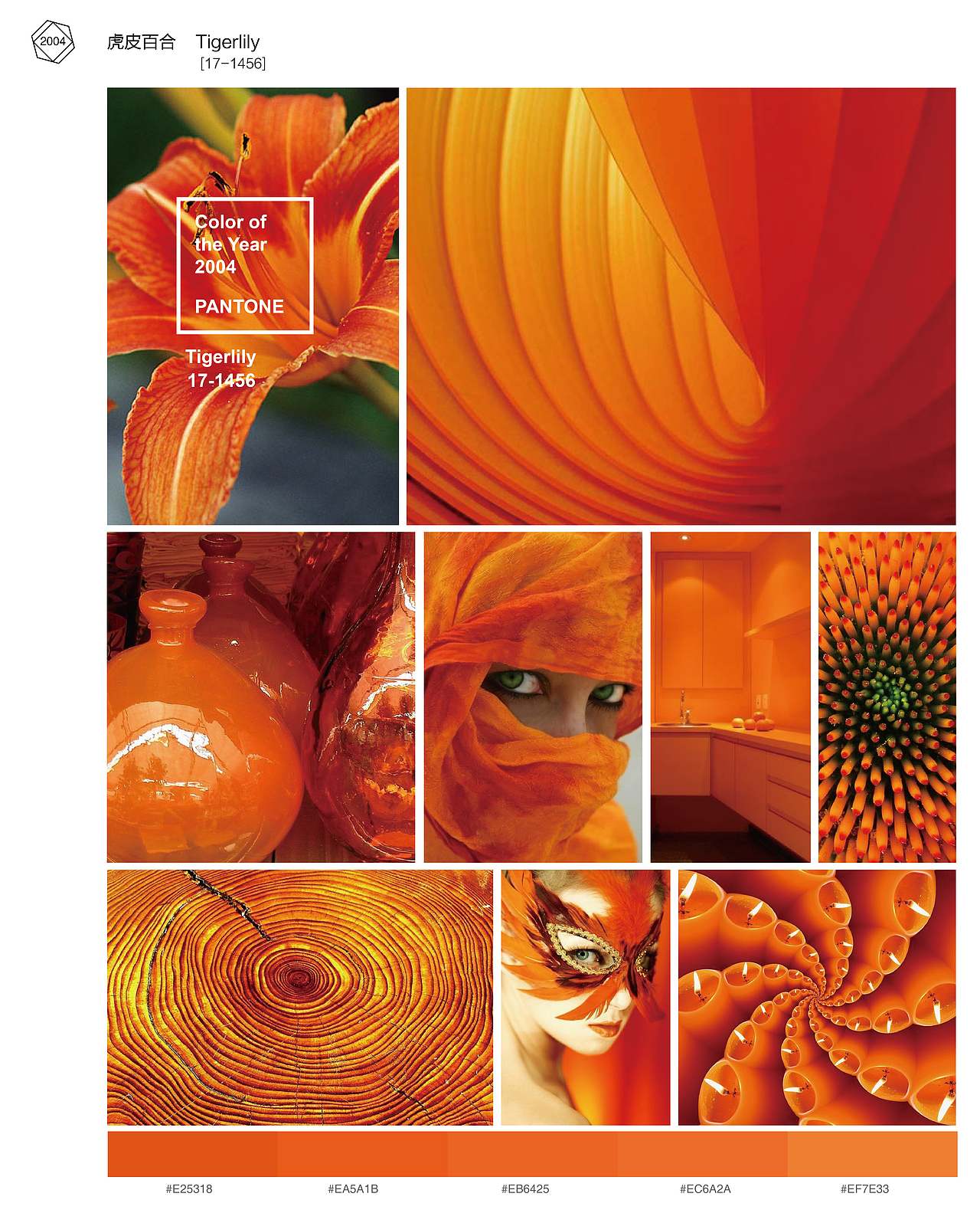 2004年 虎皮百合 Pantone编号17-1456，虎皮百合有一般百合的花型，上面浓郁的橘色和斑点，真的就像是花丛里面的老虎一样，话语是“照料”，因为由虎皮百合制作的药剂可以减轻妇女害喜的症状。