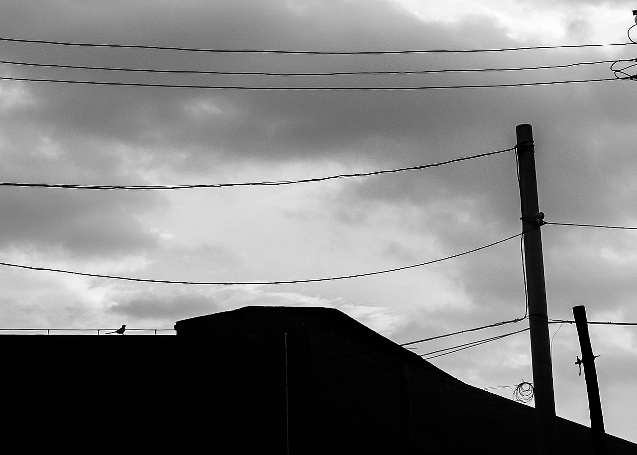 街头摄影创作/合集02