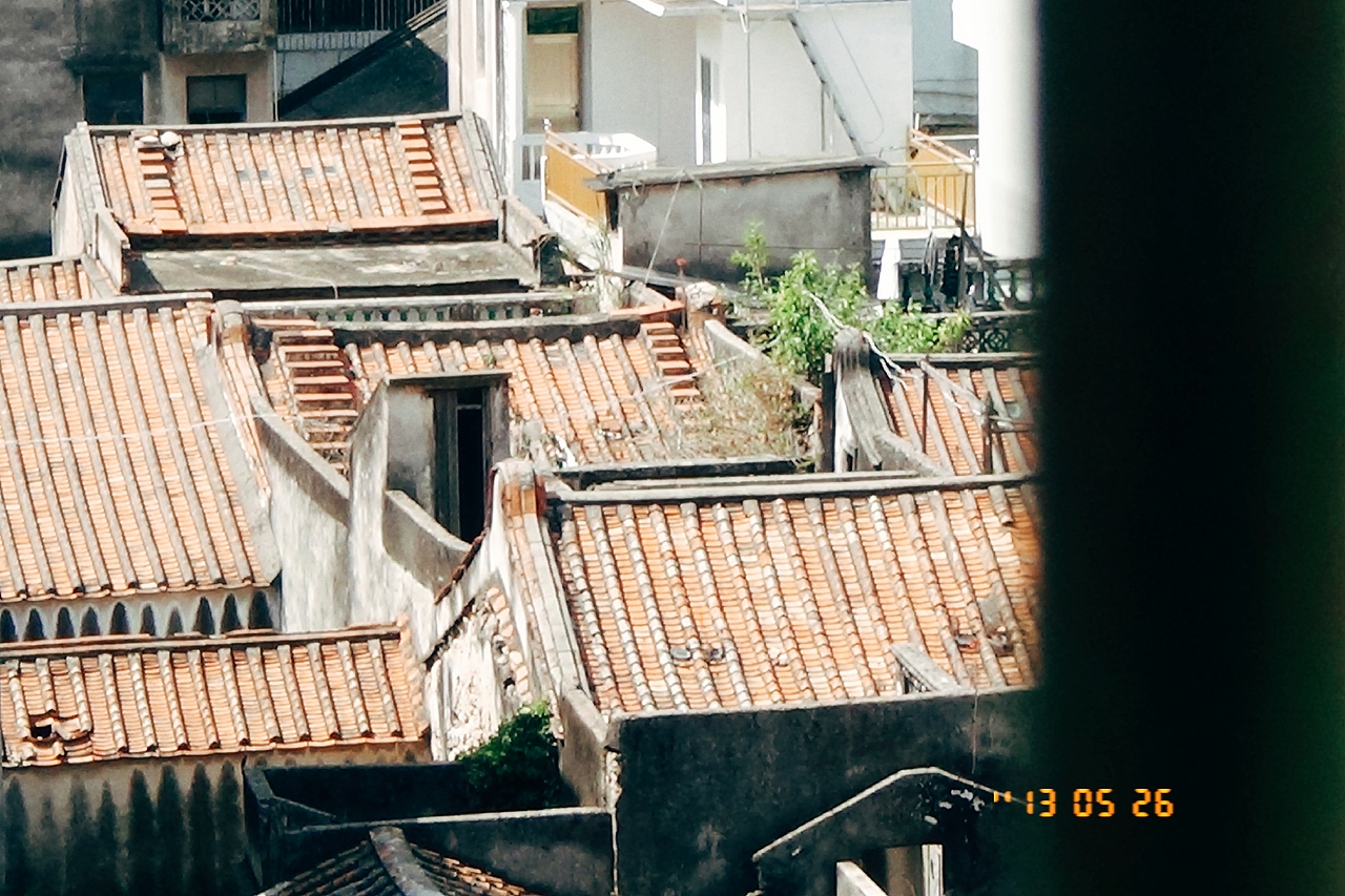 阳光免费，喵喵喵喵（图ZMjAyMDI4NzYw） - 宠物摄影 - 站酷设计师随记溢原创素材 - 站酷ZCOOL