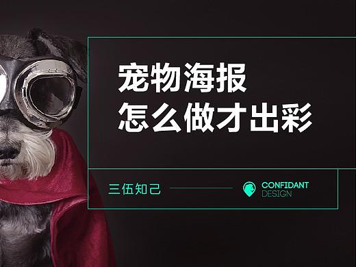 宠物海报 怎么做才出彩
