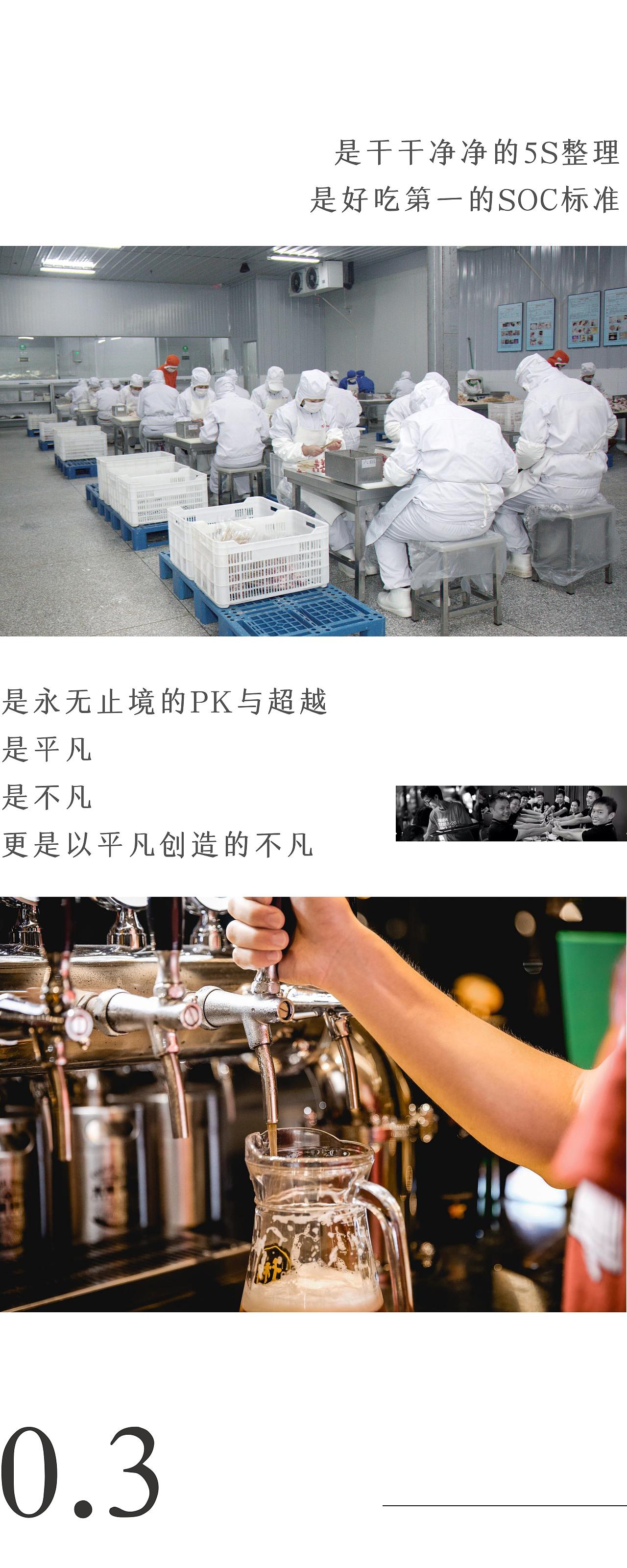 周年企业宣传排版设计