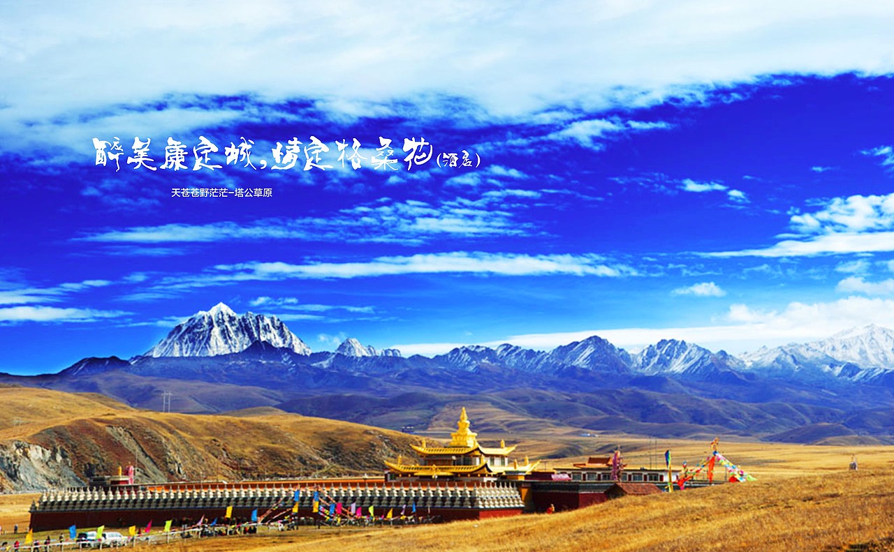 格桑花提案-老何设计-何仕泽