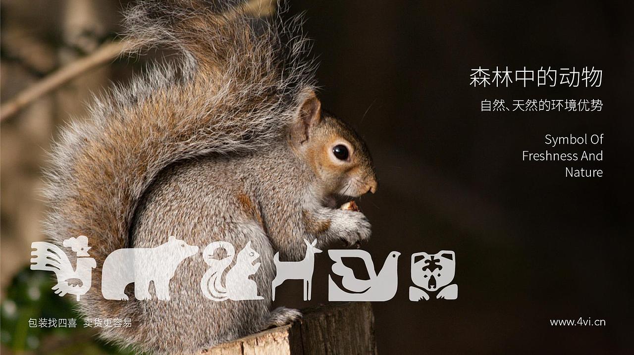 野森林东北黑木耳包装设计-四喜包装设计