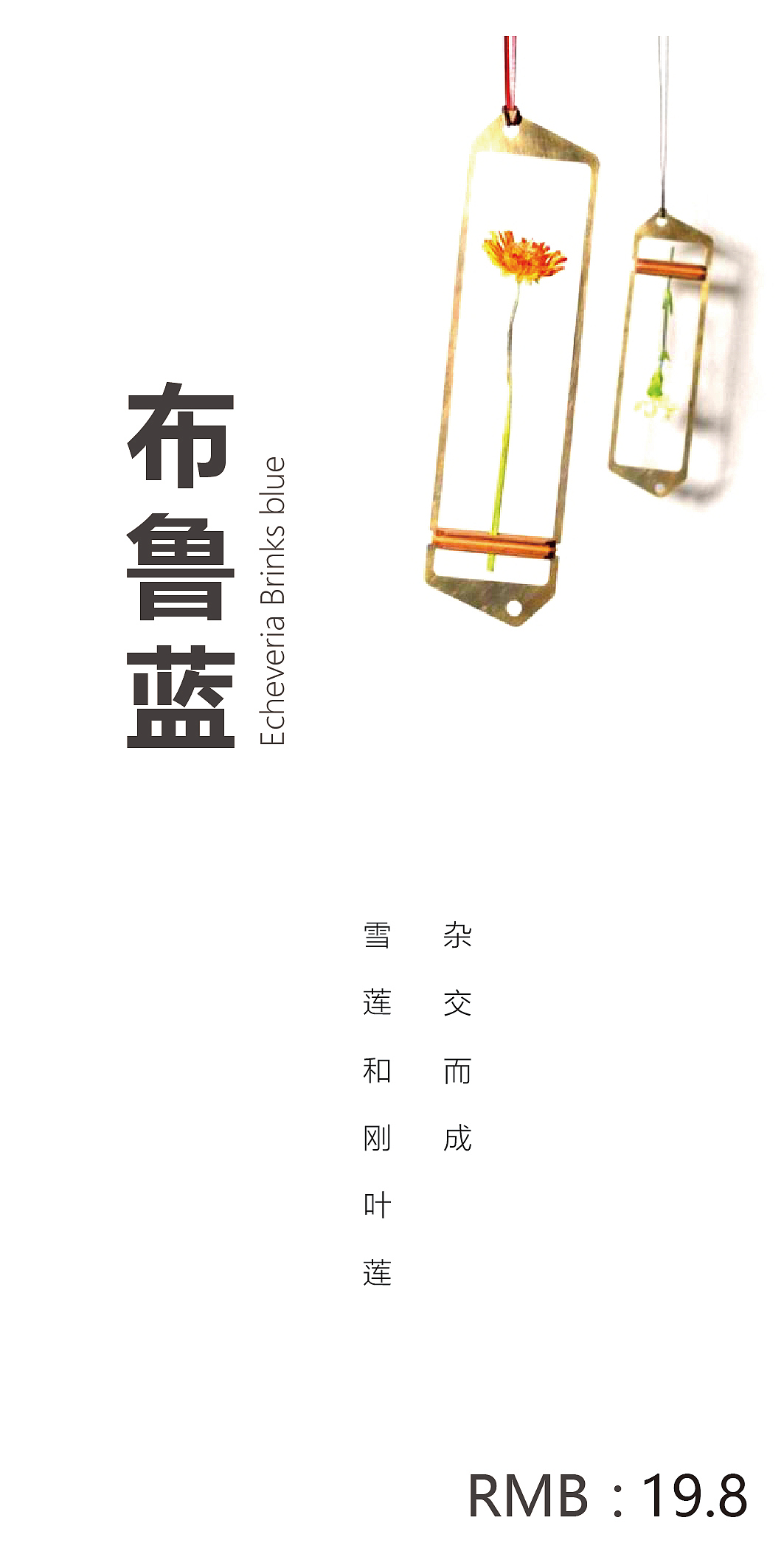 花店价目表小卡片设计（图ZMTQzNjI4NzI4） - 其他平面 - 站酷设计师胡黑豆原创素材 - 站酷ZCOOL