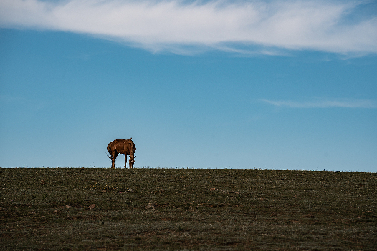 北疆风光——内蒙古（图ZMzEwNzMxNDg4） - 风光摄影 - 站酷设计师WXJ23原创素材 - 站酷ZCOOL