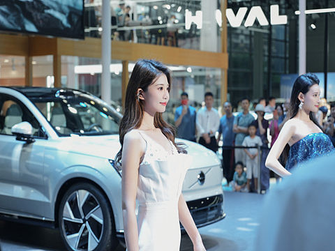 粤港澳车展
