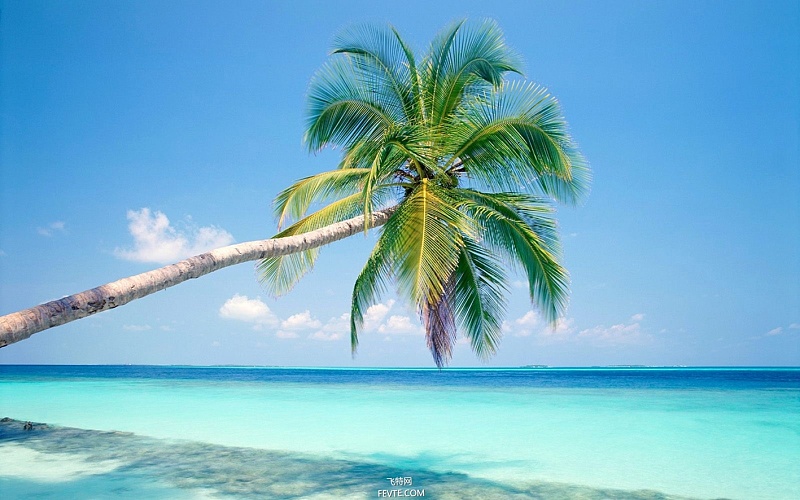 ps创意次元效果海滩合成之路