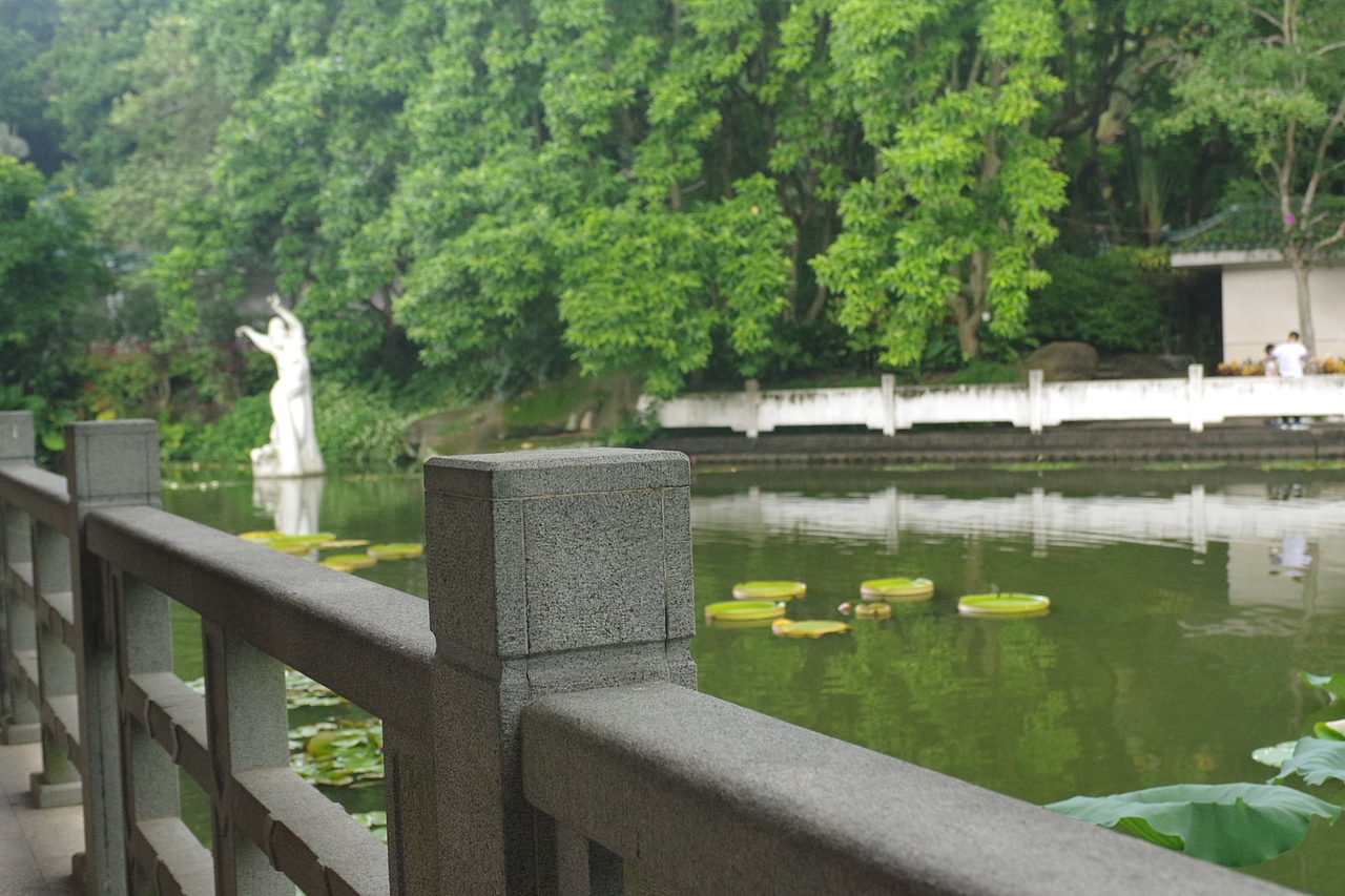 户外摄影--厦门摄影（鼓浪屿、植物园）（图ZNTc4Mzc3MzY=） - 环境/建筑摄影 - 站酷设计师今天能喝咖啡了吗原创素材 - 站酷ZCOOL