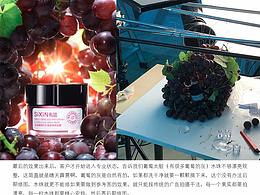 水果元素的化妆品拍摄