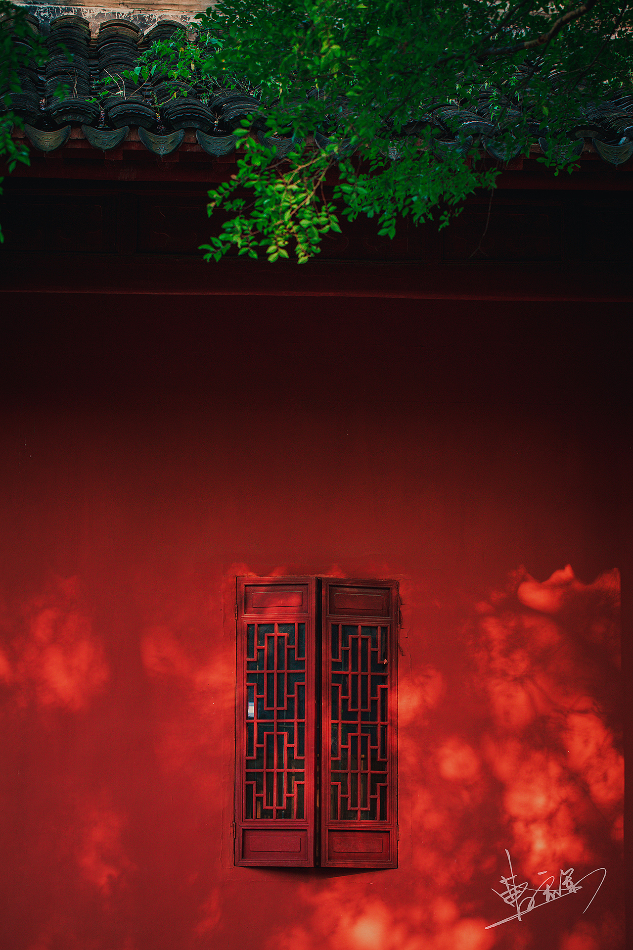 大明红（图ZMjIwMjc5NDQ4） - 人文/纪实摄影 - 站酷设计师十把火原创素材 - 站酷ZCOOL