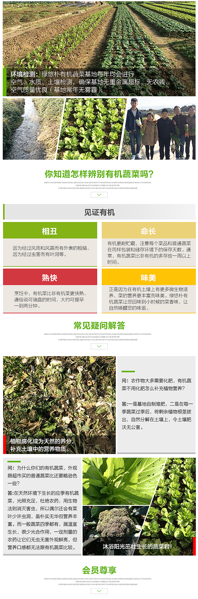 绿悠朴-白菜苔详情