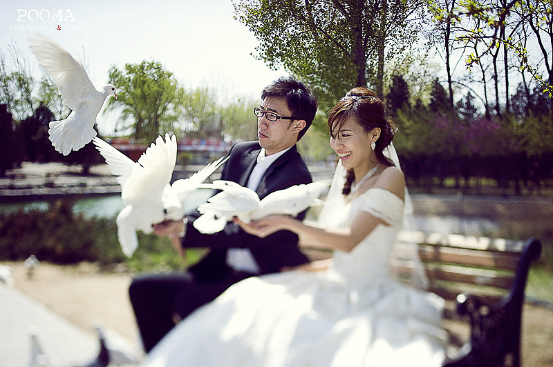 2011-2012 婚纱摄影精选
