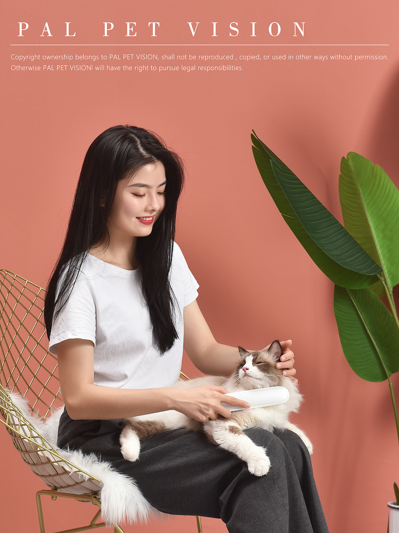 宠物产品摄影|宠物产品视频之小米众筹爆款宠物除菌梳