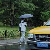 LIUYIWEN的头像