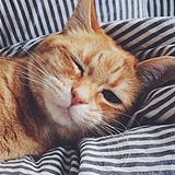 tuzaz的头像