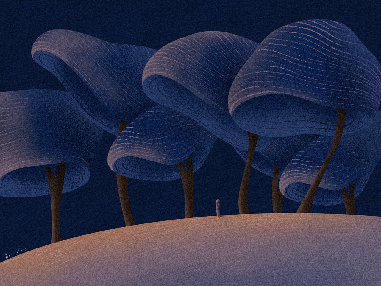 听风过，看雨落