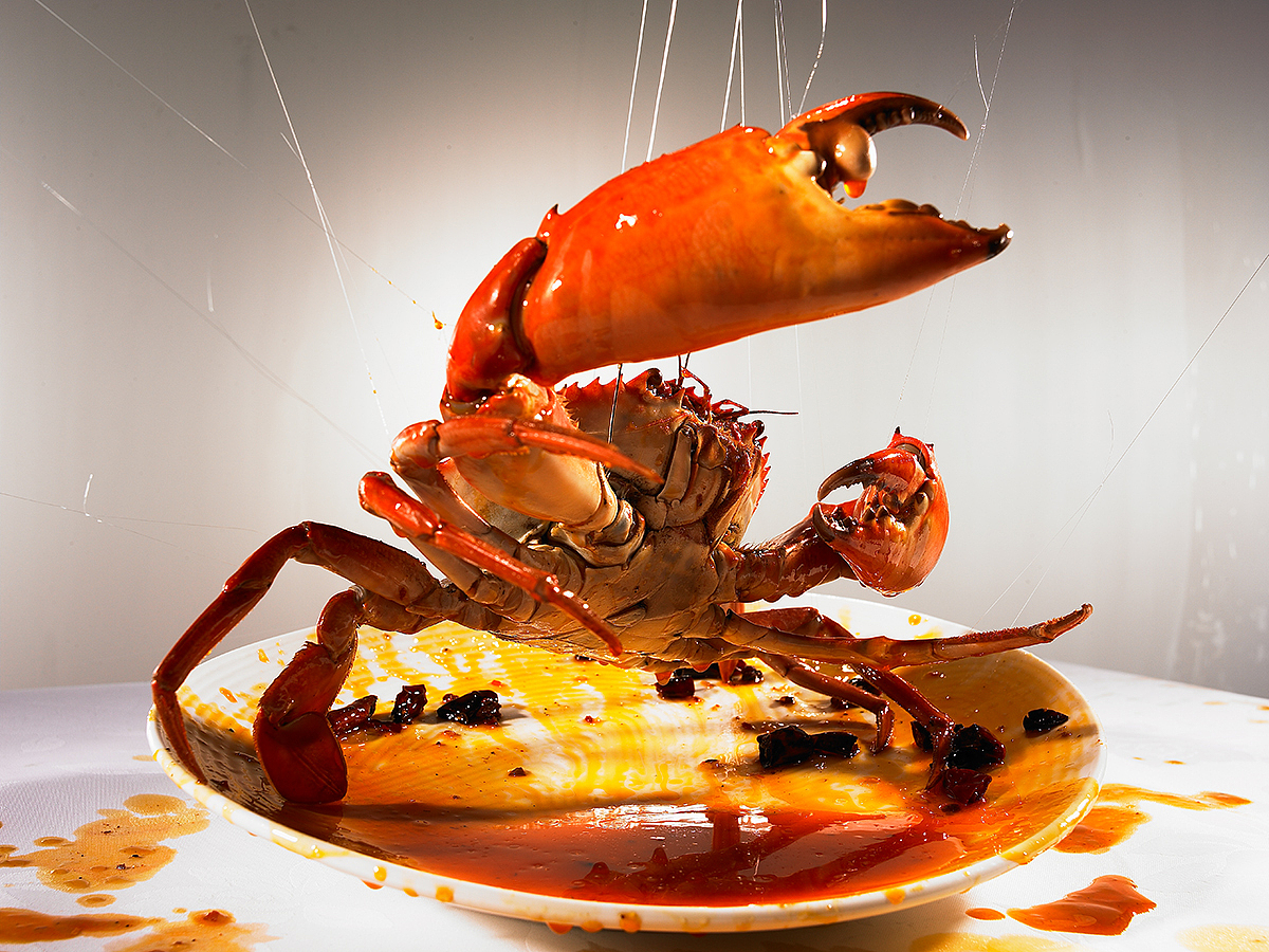 24期(广告摄影手稿):三溅客|摄影|美食摄影|禅宗喝水_原创作品-站酷