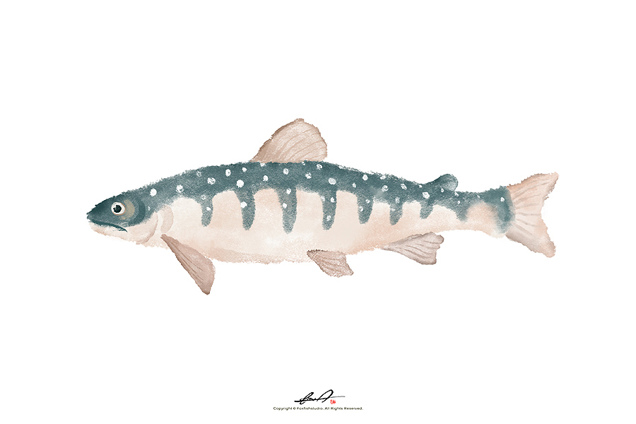 《真·摸鱼》（图ZMTY0OTg0Nzg4） - 创作习作 - 站酷设计师瓜里瓜里瓜里原创素材 - 站酷ZCOOL