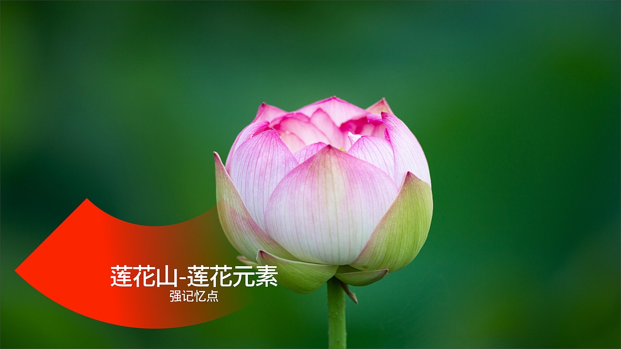 广州莲花山旅游区（图ZMjg3MTk2ODE2） - Logo - 站酷设计师坐北朝南的大熊原创素材 - 站酷ZCOOL