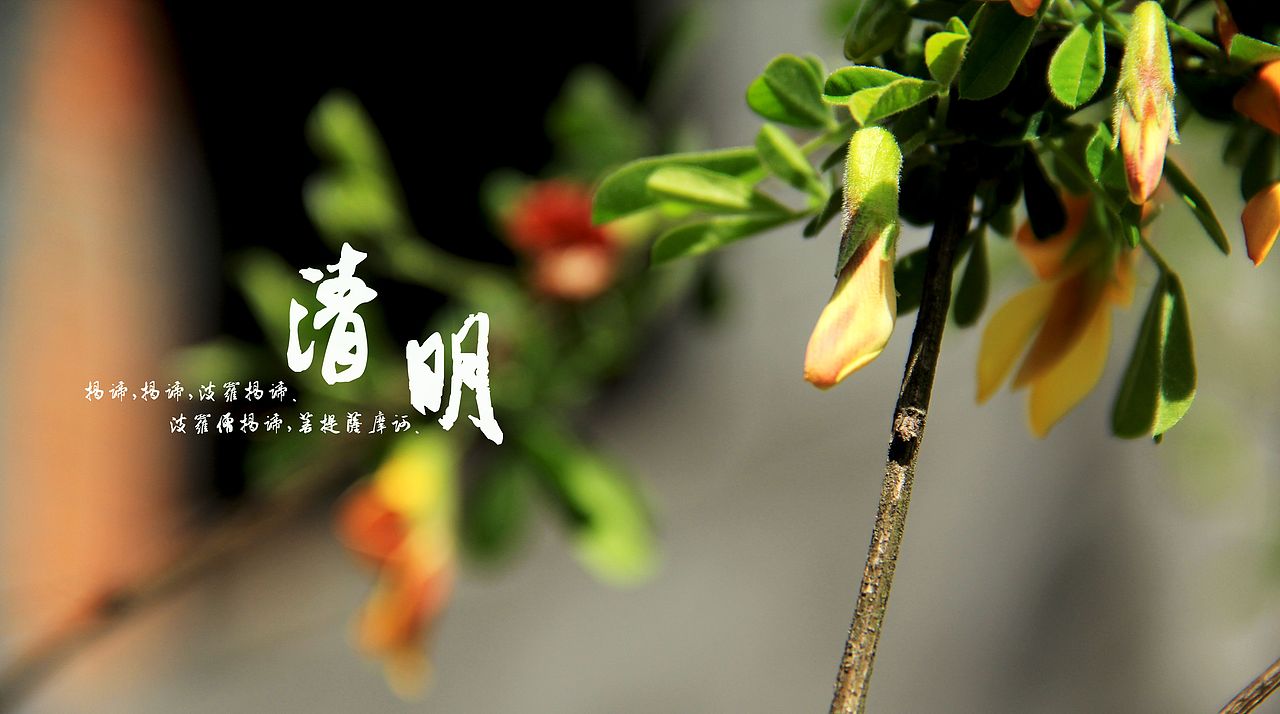 大桥下的石头（图ZODkzMzkwNA==） - 风光摄影 - 站酷设计师半道子原创素材 - 站酷ZCOOL