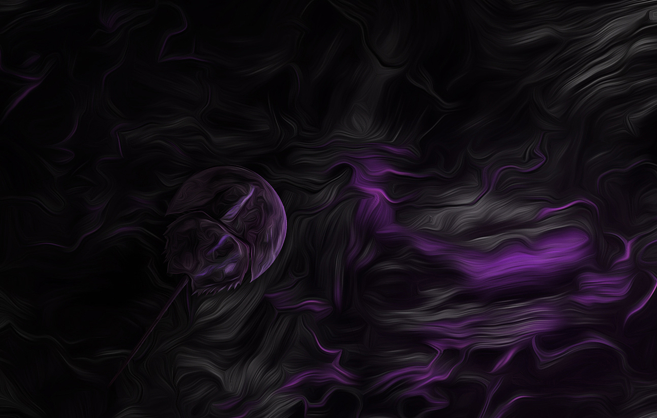 寒灰更然thinkpadx1隐士壁纸设计