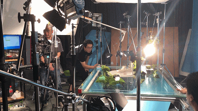 盘点我们拍的Nanci定格动画！人间小甜豆的千层套路！（图ZMjg4OTUyNDgw） - 短片 - 站酷设计师蒸汽工场原创素材 - 站酷ZCOOL