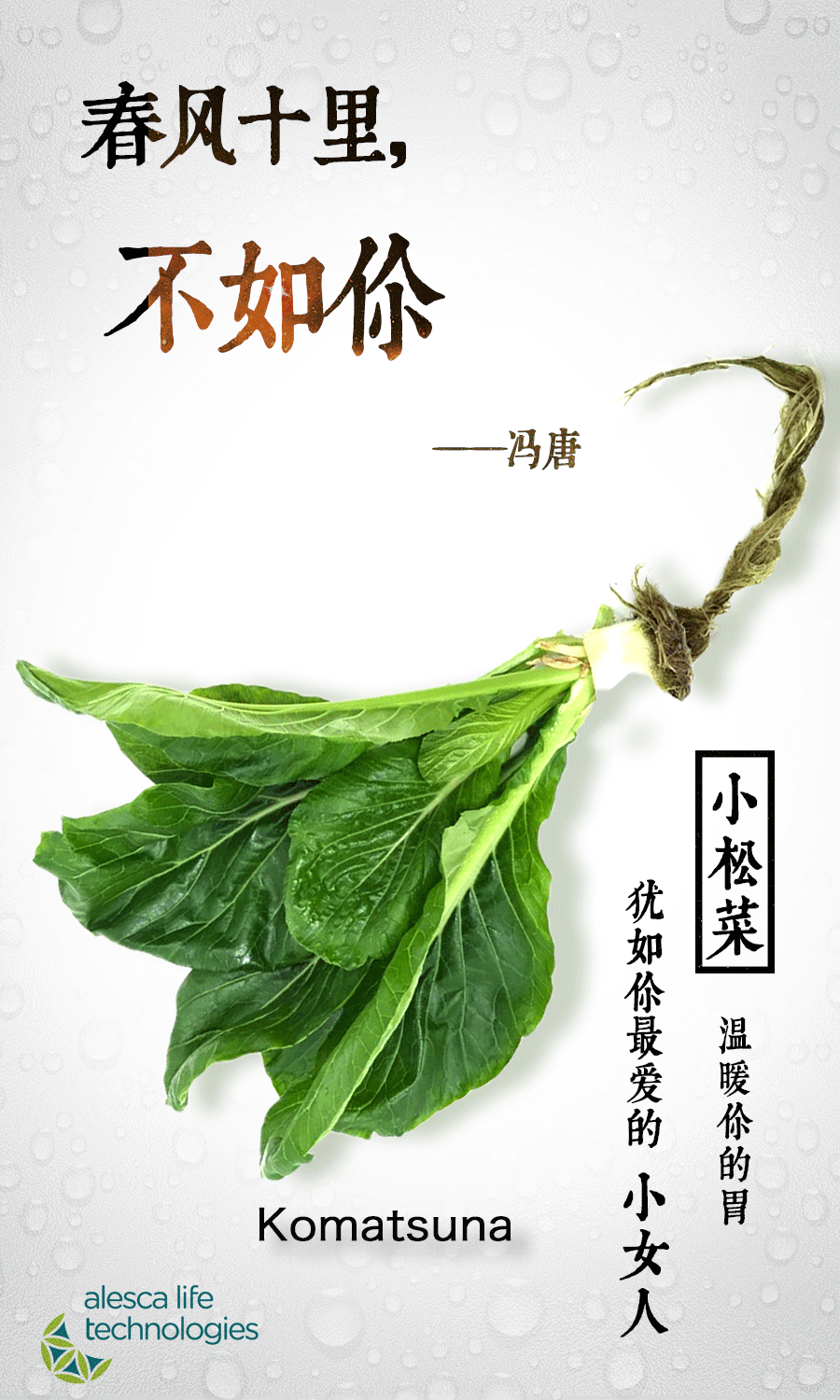 爱勒康快闪图设计（图ZODI1NTE4MzI=） - 品牌 - 站酷设计师咸鱼炖菠菜原创素材 - 站酷ZCOOL