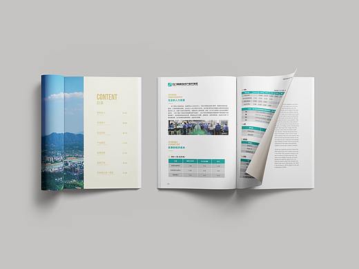 Investment Manual  招商手册   画册设计 