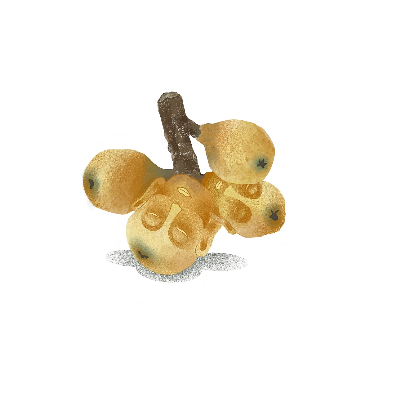 Ipad插画 | 果蔬合集