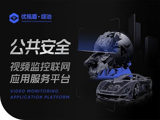 公共安全视频监控联网应用系统