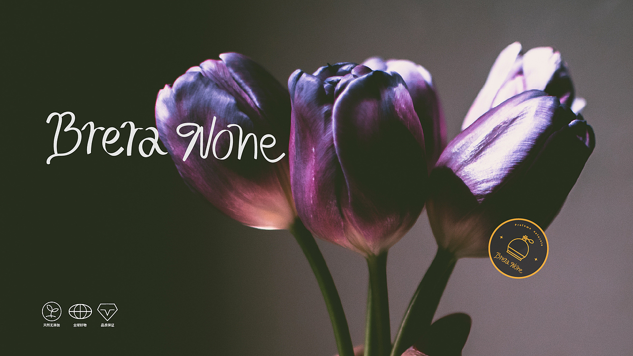 brera nove（图ZMjc0MjU1OTg0） - 品牌 - 站酷设计师昂端哼原创素材 - 站酷ZCOOL