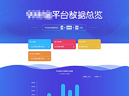 数据报告