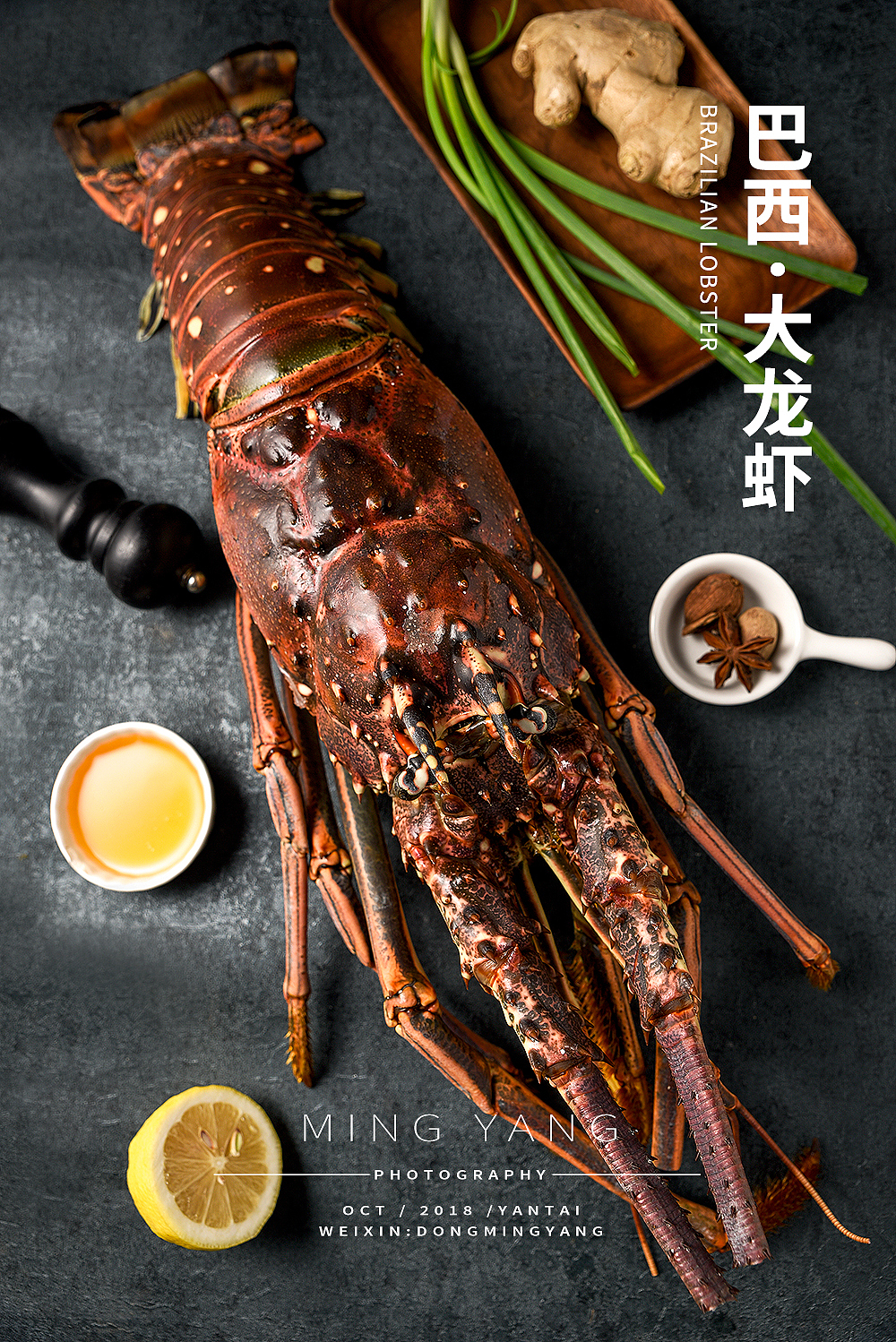 巴西大龙虾