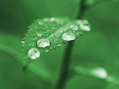 春季如何拍摄雨景？西安摄影培训资深摄影讲师井峰来教你雨景的拍摄技巧（二）