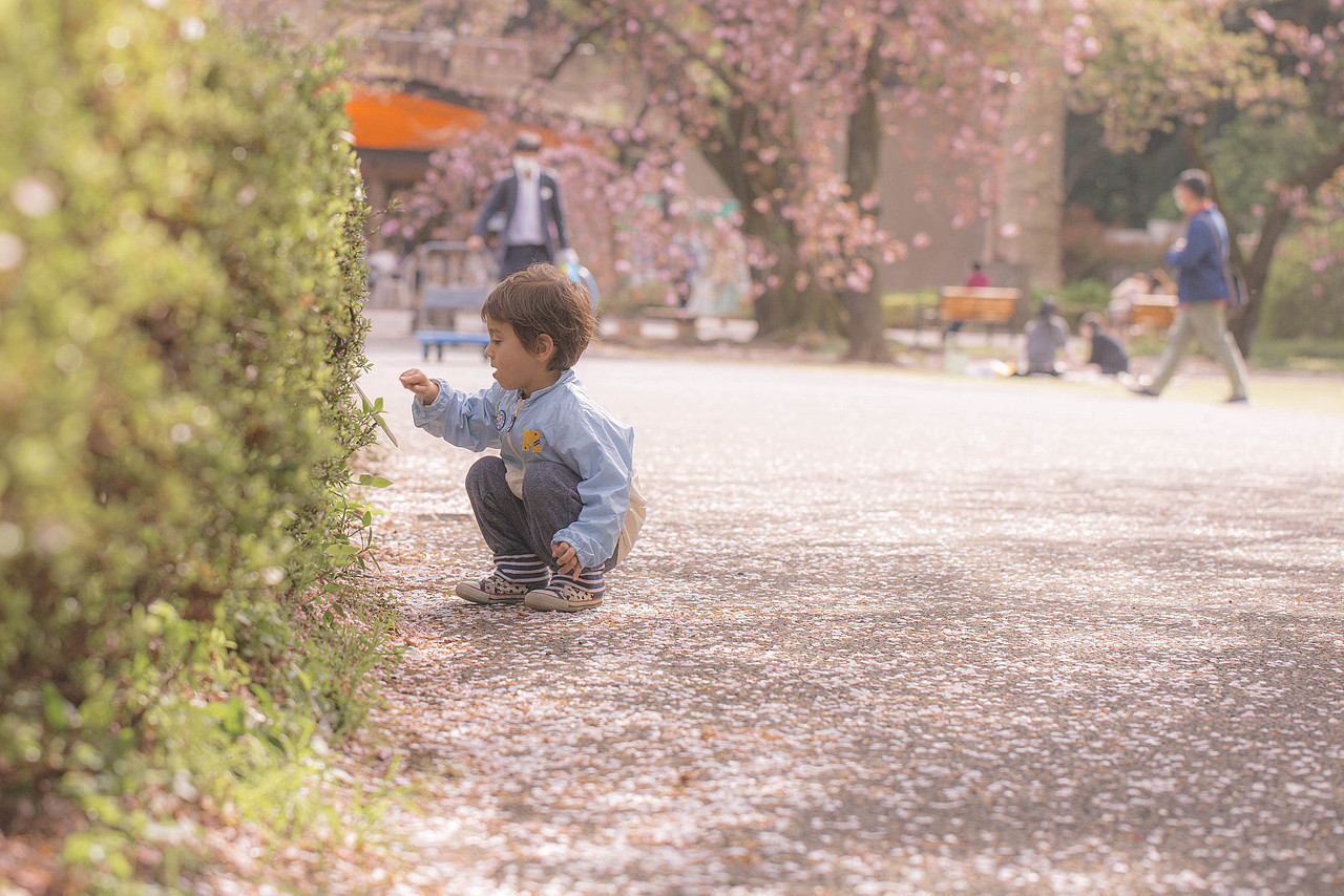 秒速5厘米（图ZMjQ5NjYwNzYw） - 人文/纪实摄影 - 站酷设计师阳光呀阳光你别走原创素材 - 站酷ZCOOL