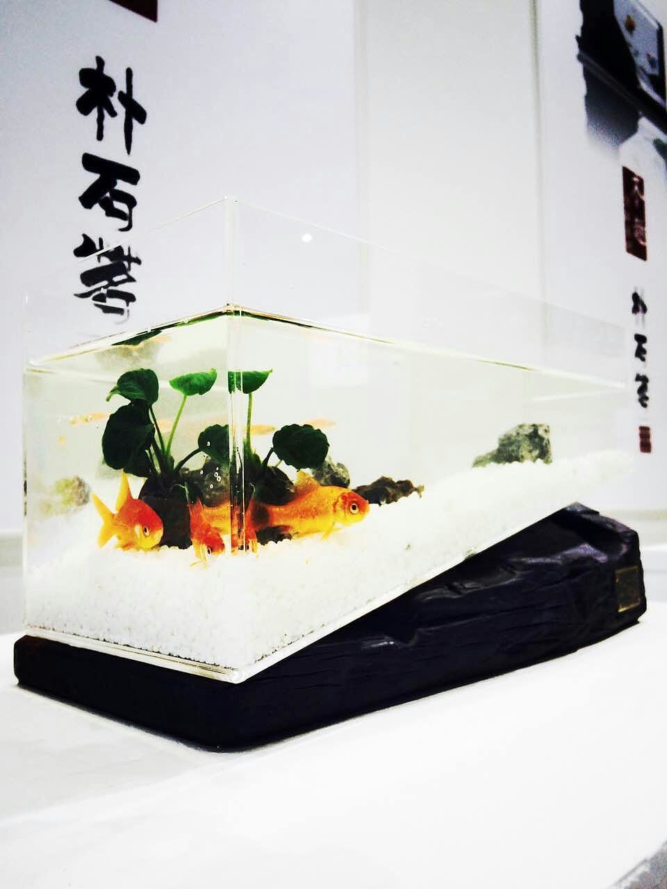 朴石茗.木趣.船木鱼缸（图ZNDE4MzU1NDA=） - 生活用品 - 站酷设计师沉苗条原创素材 - 站酷ZCOOL