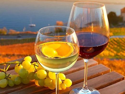 “红酒”平面设计（个人主页-ZMjU0MzY3ODA=） - 书籍/画册 - 站酷设计师ZJone原创素材 - 站酷ZCOOL